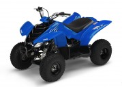 Yamaha YFM50 Yamaha YFM50